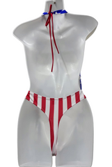 One Piece US Flag Bikini